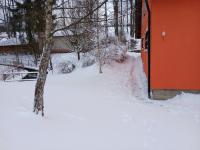 20250104_140953 (1024x768).jpg